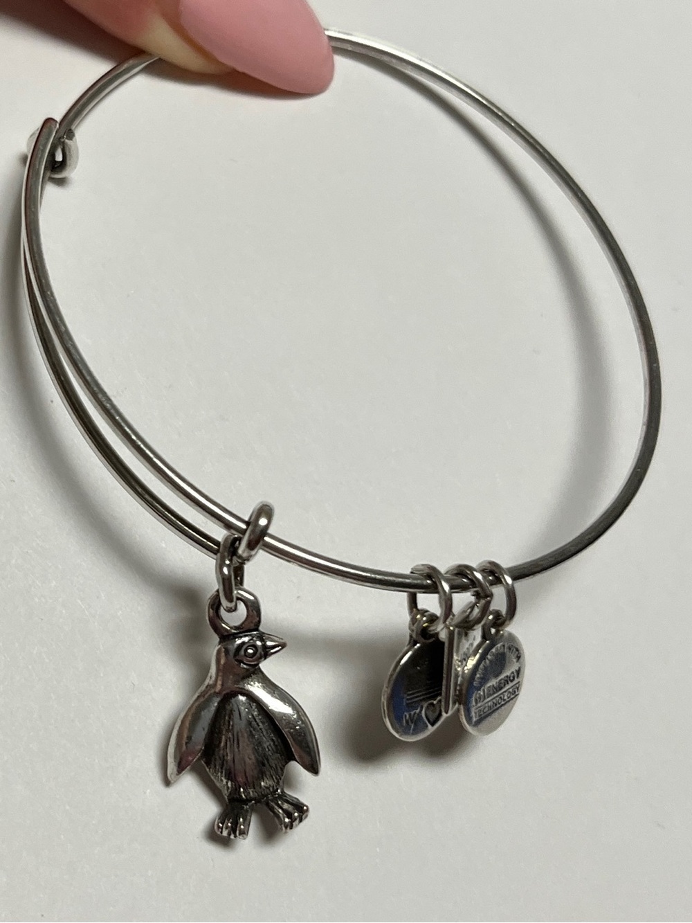 Alex and Ani Silver Penguin Charm Bangle with Heart and Tag Accents